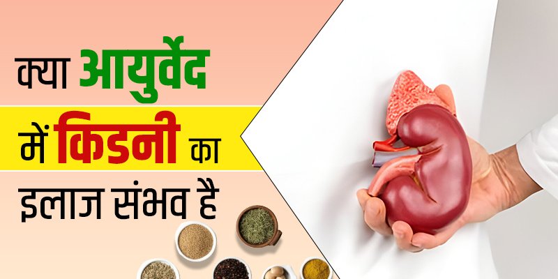 क्या-आयुर्वेद-में-किडनी-का-इलाज-संभव-है
